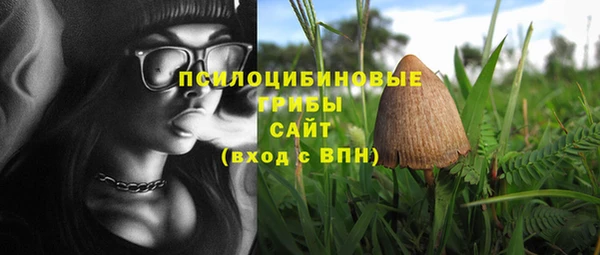 гашик Лиски