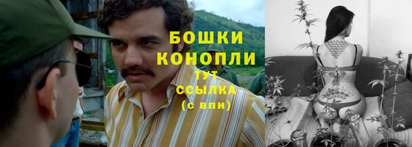 гашик Лиски