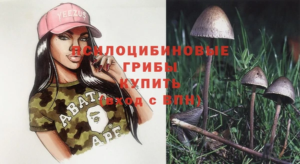 гашик Лиски